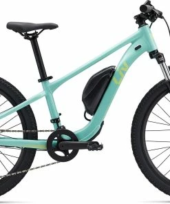 Giant Liv Tempt E+ 24 - 2023